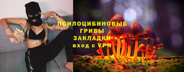 a pvp Богородицк